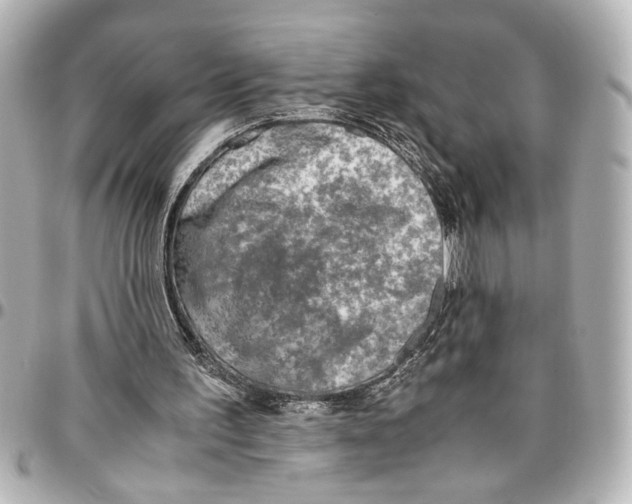 X0000096730195200802261501