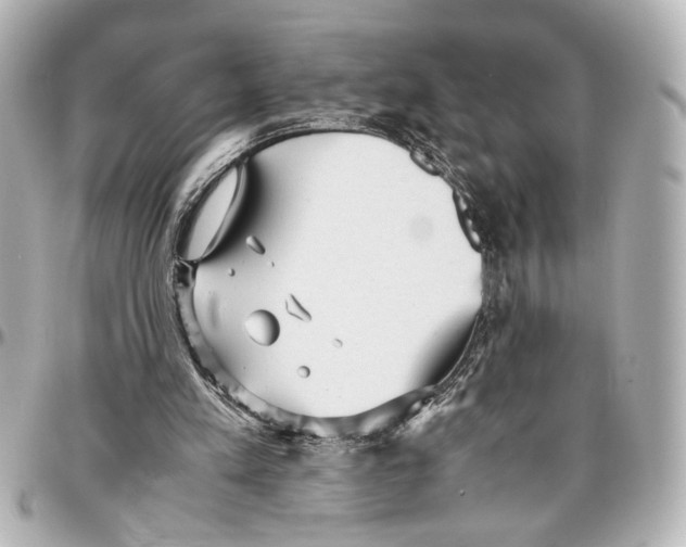 X0000096730197200802261501