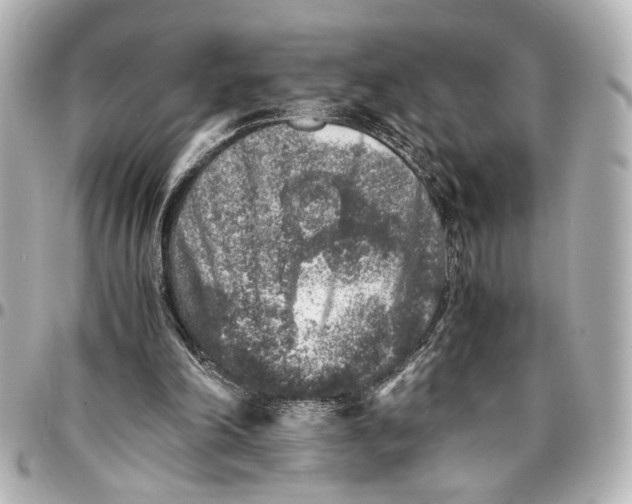 X0000096730198200802261501