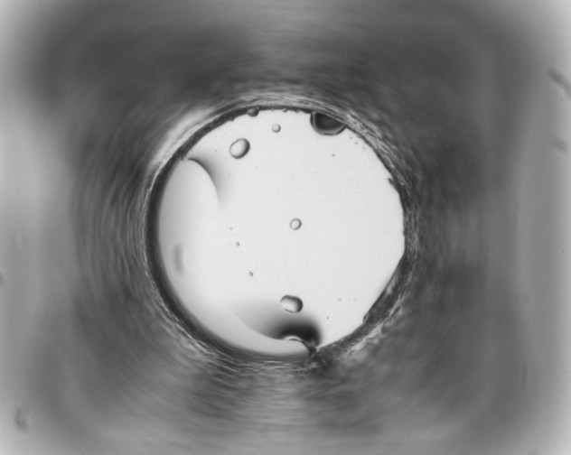 X0000096730199200802261501