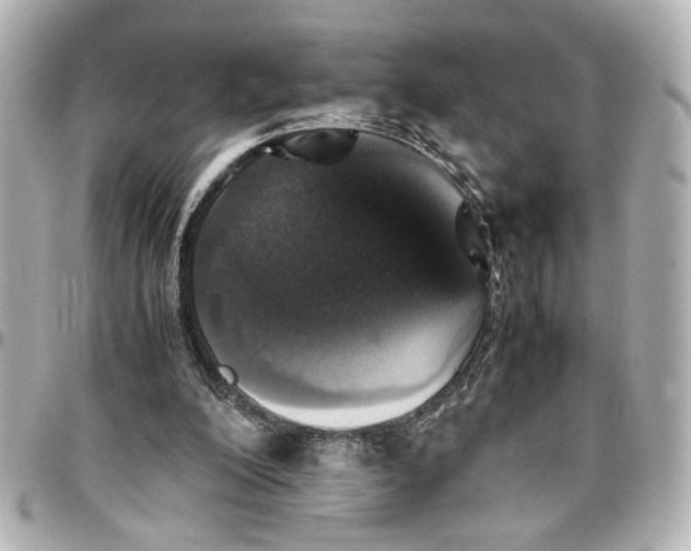 X0000096730200200802261501