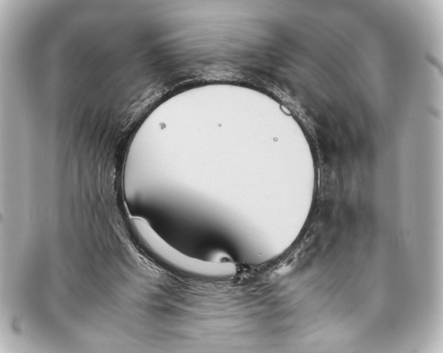 X0000096730201200802261501