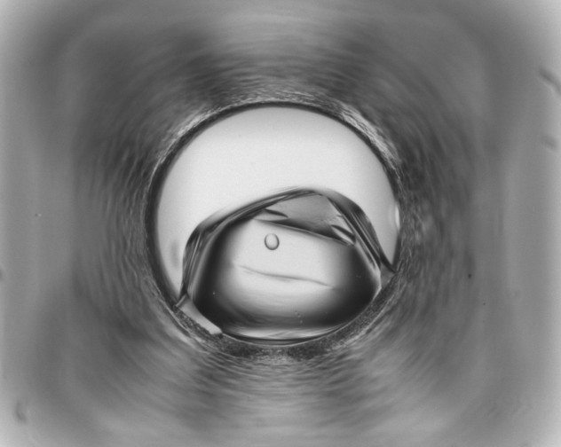 X0000096730203200802261501