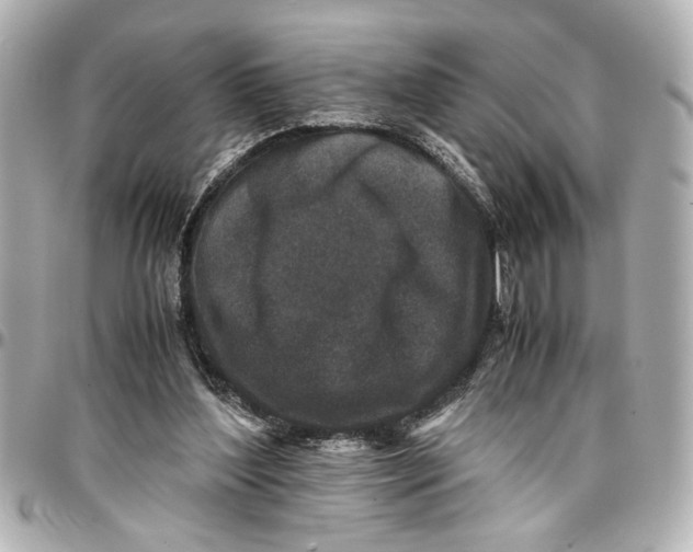 X0000096730204200802261501