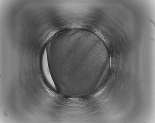 X0000096730205200802261501