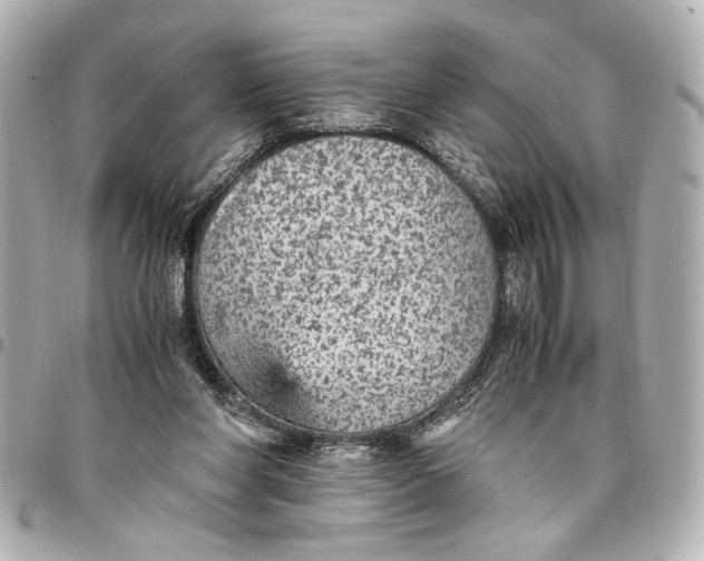 X0000096730206200802261501