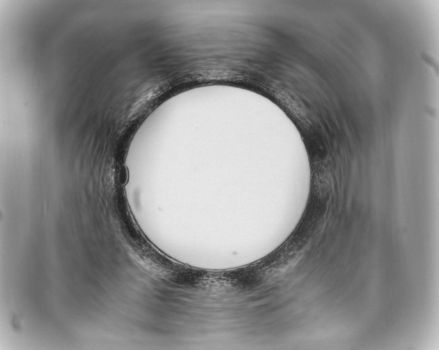 X0000096730207200802261501