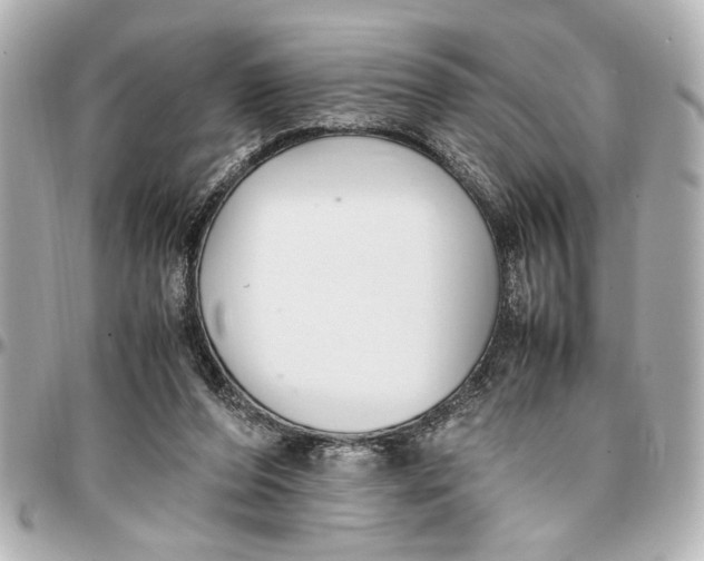 X0000096730208200802261501