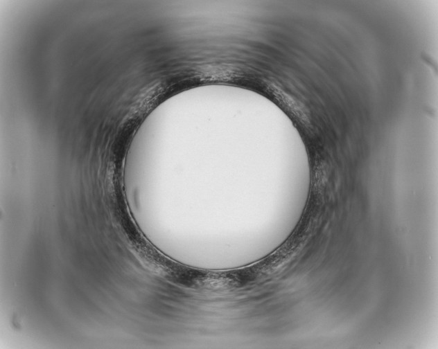 X0000096730209200802261501