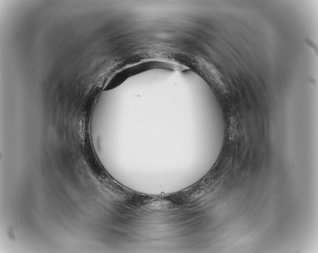 X0000096730210200802261501
