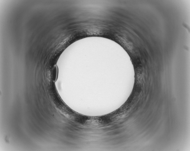 X0000096730211200802261501