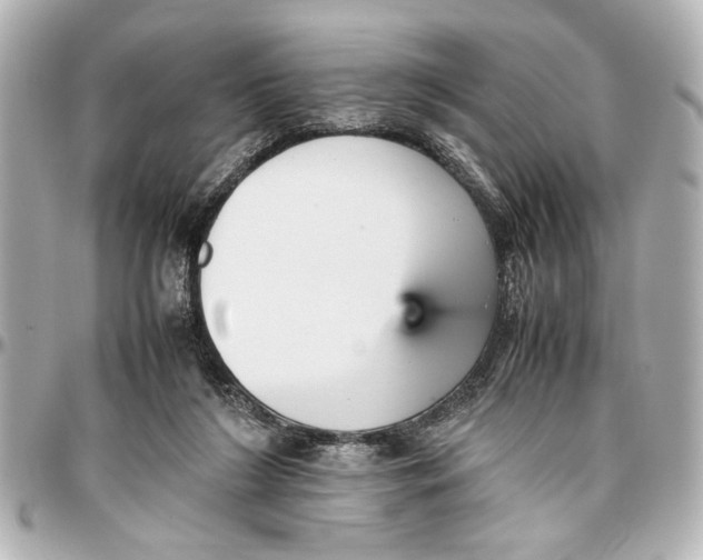 X0000096730212200802261501