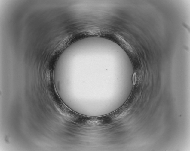 X0000096730213200802261501