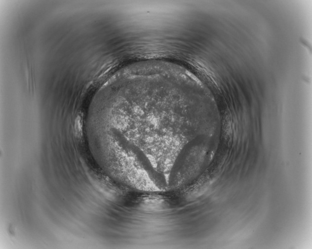 X0000096730214200802261501