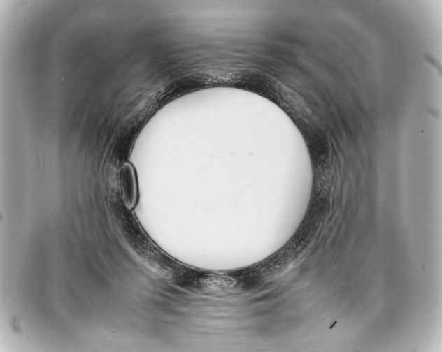 X0000096730215200802261501