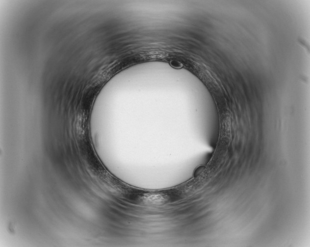 X0000096730218200802261501