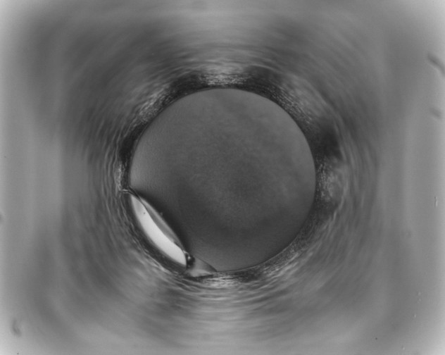 X0000096730219200802261501