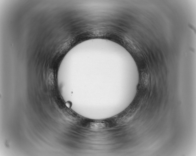 X0000096730220200802261501