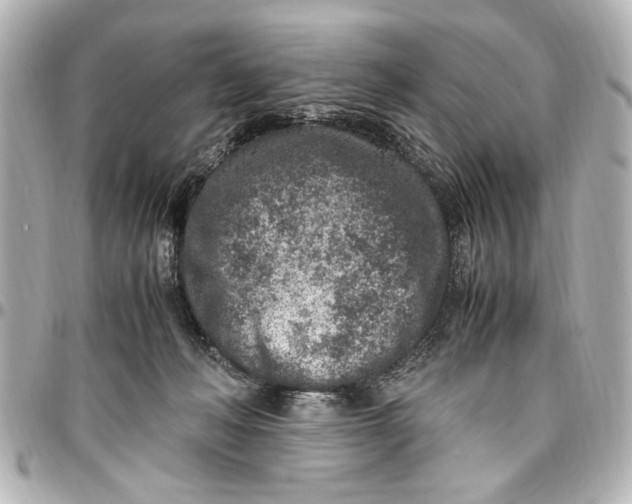 X0000096730222200802261501