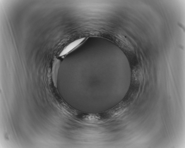 X0000096730223200802261501