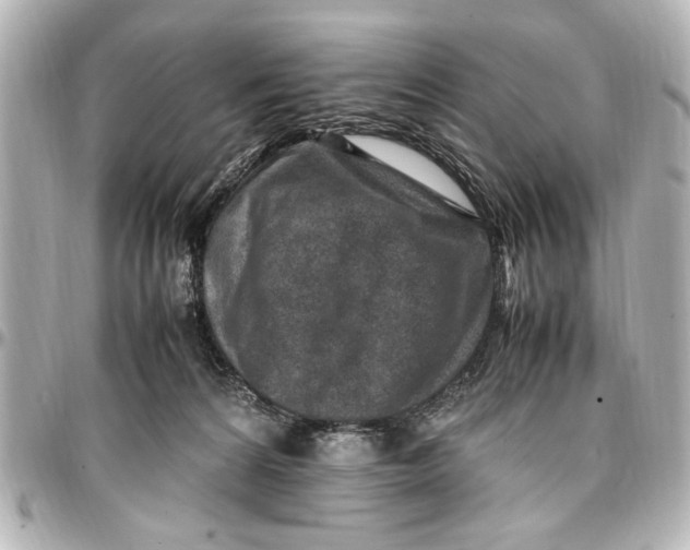 X0000096730224200802261501
