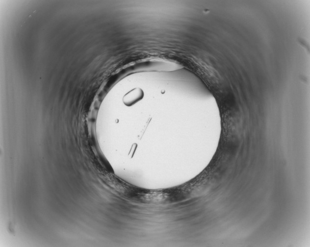 X0000096730225200802261501