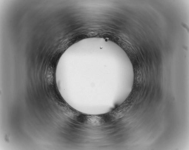 X0000096730226200802261501