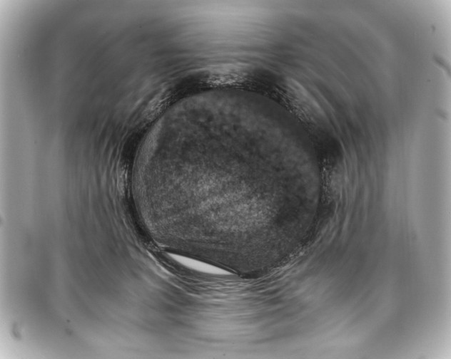 X0000096730227200802261501