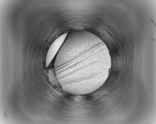 X0000096730229200802261501
