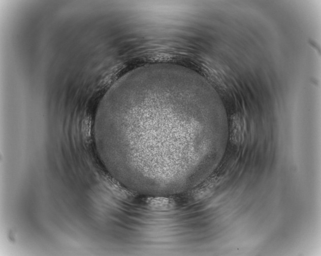 X0000096730230200802261501