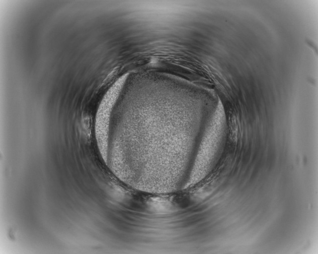 X0000096730232200802261501