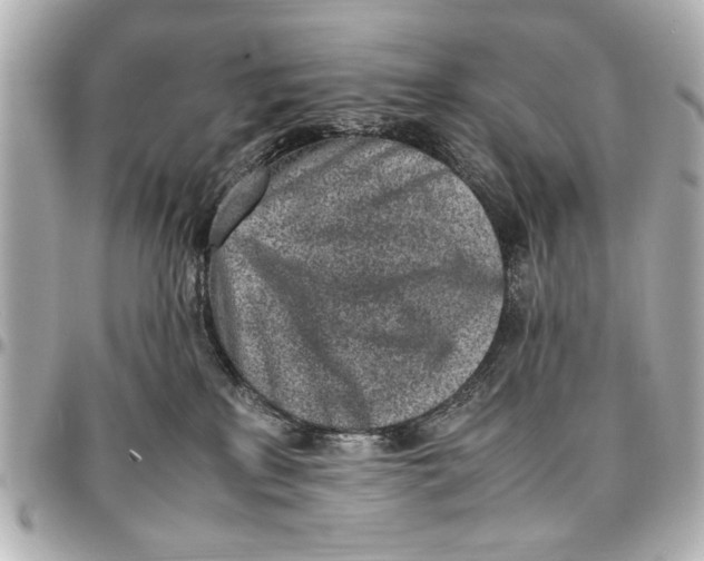 X0000096730233200802261501