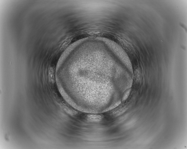X0000096730234200802261501