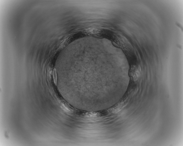 X0000096730235200802261501