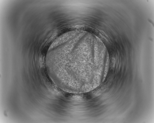 X0000096730236200802261500