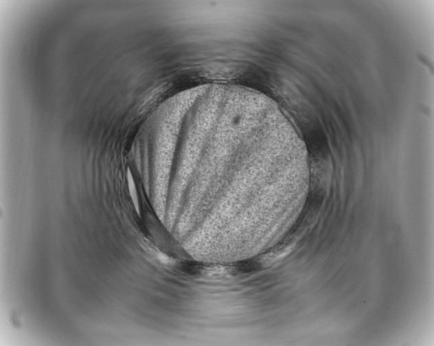 X0000096730237200802261500
