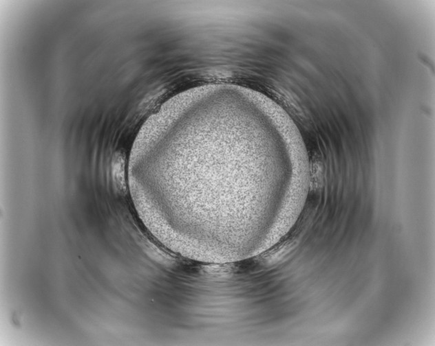 X0000096730238200802261500