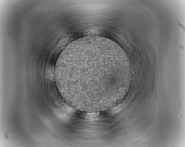 X0000096730240200802261500