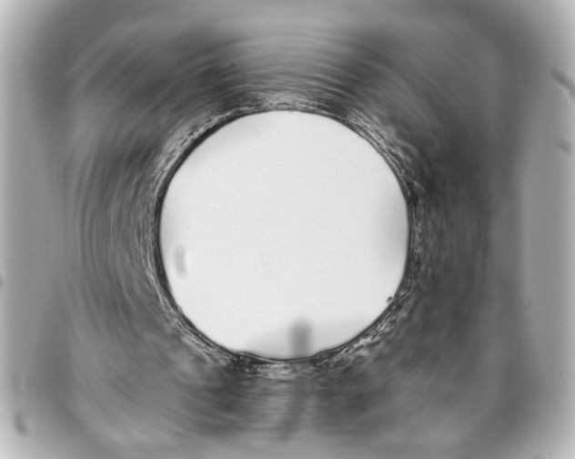 X0000096730241200802261500