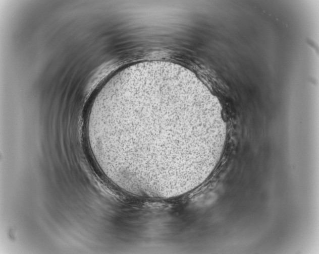 X0000096730242200802261500