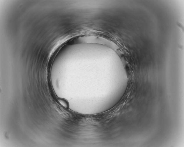 X0000096730244200802261500
