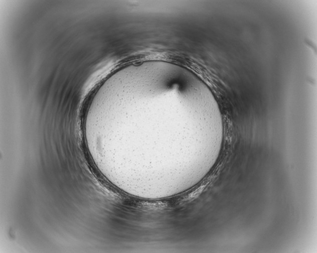 X0000096730245200802261500