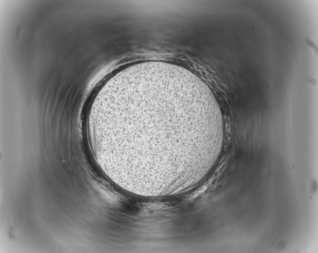 X0000096730246200802261500