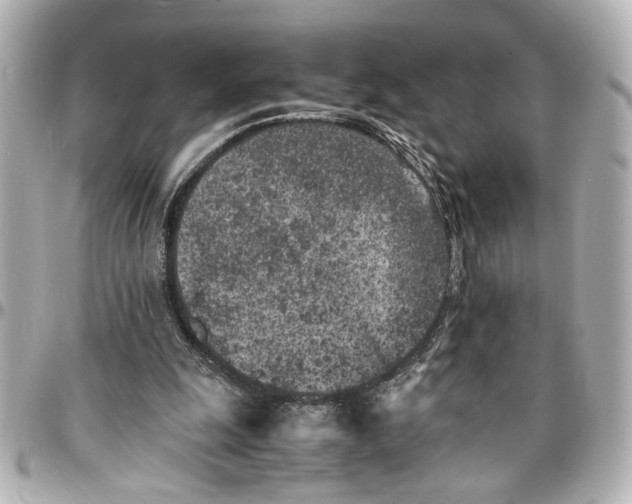 X0000096730247200802261500