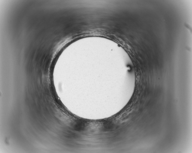 X0000096730248200802261500