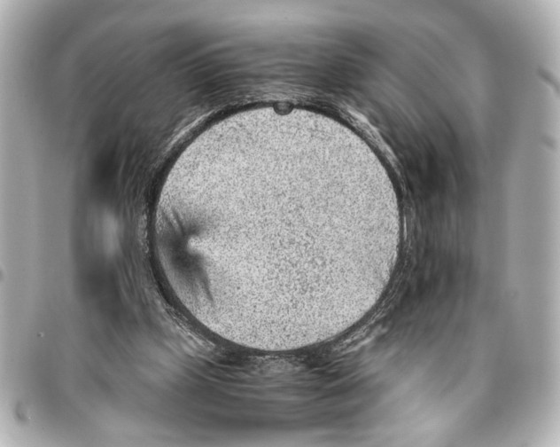 X0000096730249200802261500