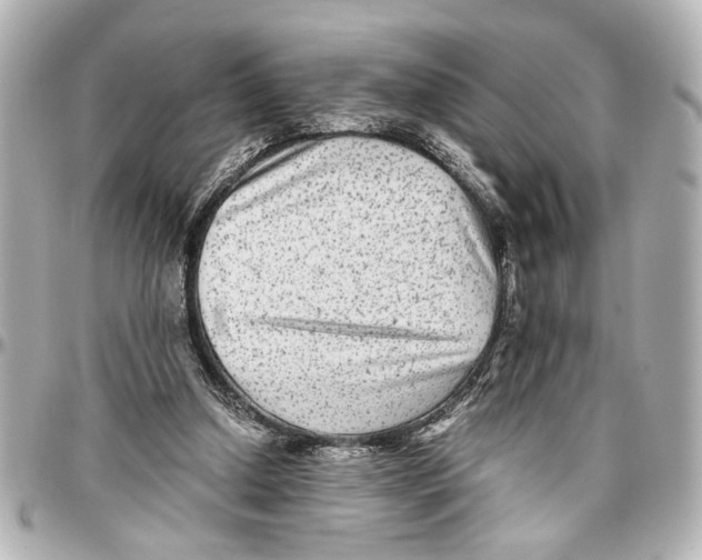 X0000096730250200802261500