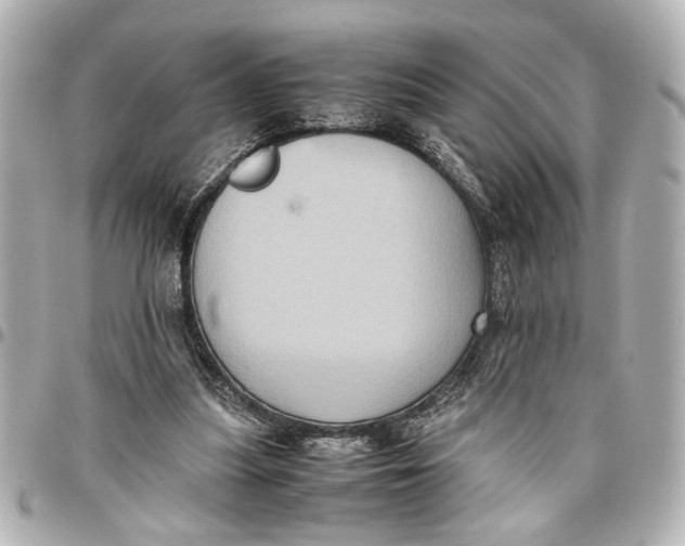 X0000096730251200802261500