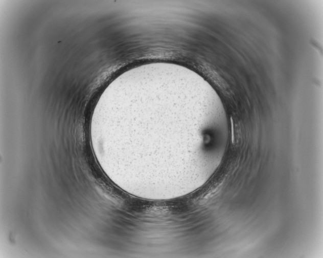 X0000096730252200802261500