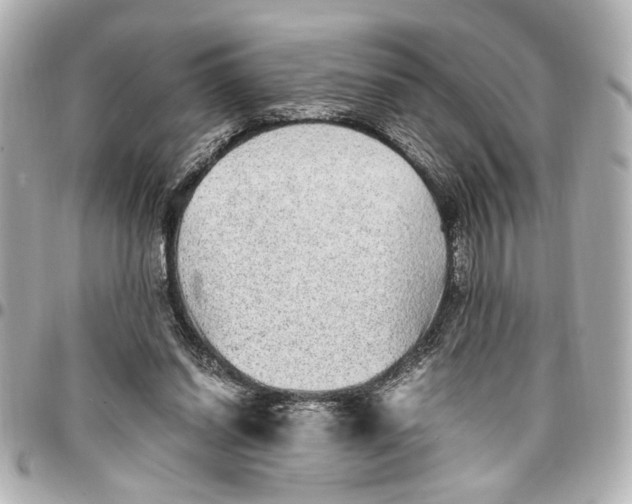 X0000096730254200802261500